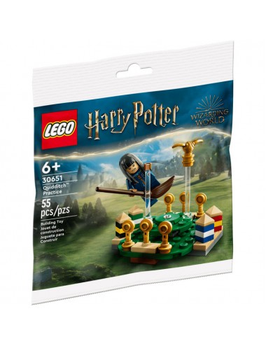 LEGO 30651 Harry Potter Quidditch Antrenmanı