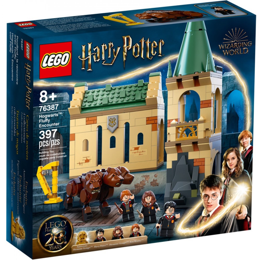 LEGO 76387 Harry Potter Hogwarts: Fluffy İle Karşılaşma